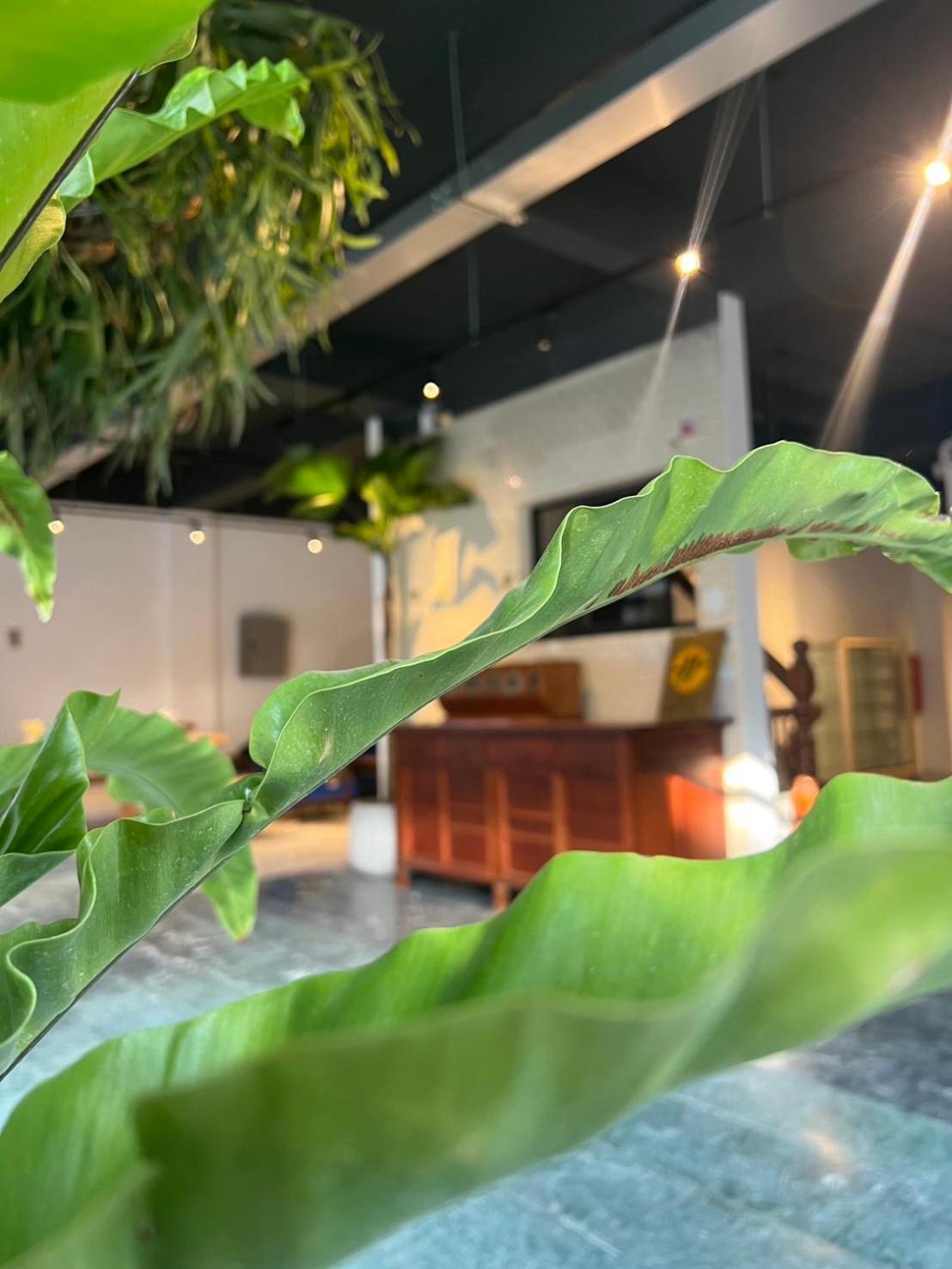Yan Bin Hotel Tainan Luaran gambar